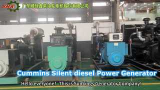 Custom Diesel Generator Quiet Power
