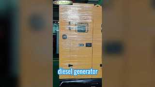 The generator set will undergo elaborate packing.