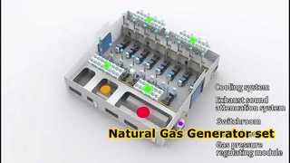 Natural Gas Generator set