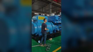 On-site Loading of Diesel Generator Sets