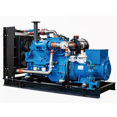 Prime 300kW Weichai WP10D238E301NG Natrual Gas Generator Cost-effective Solution